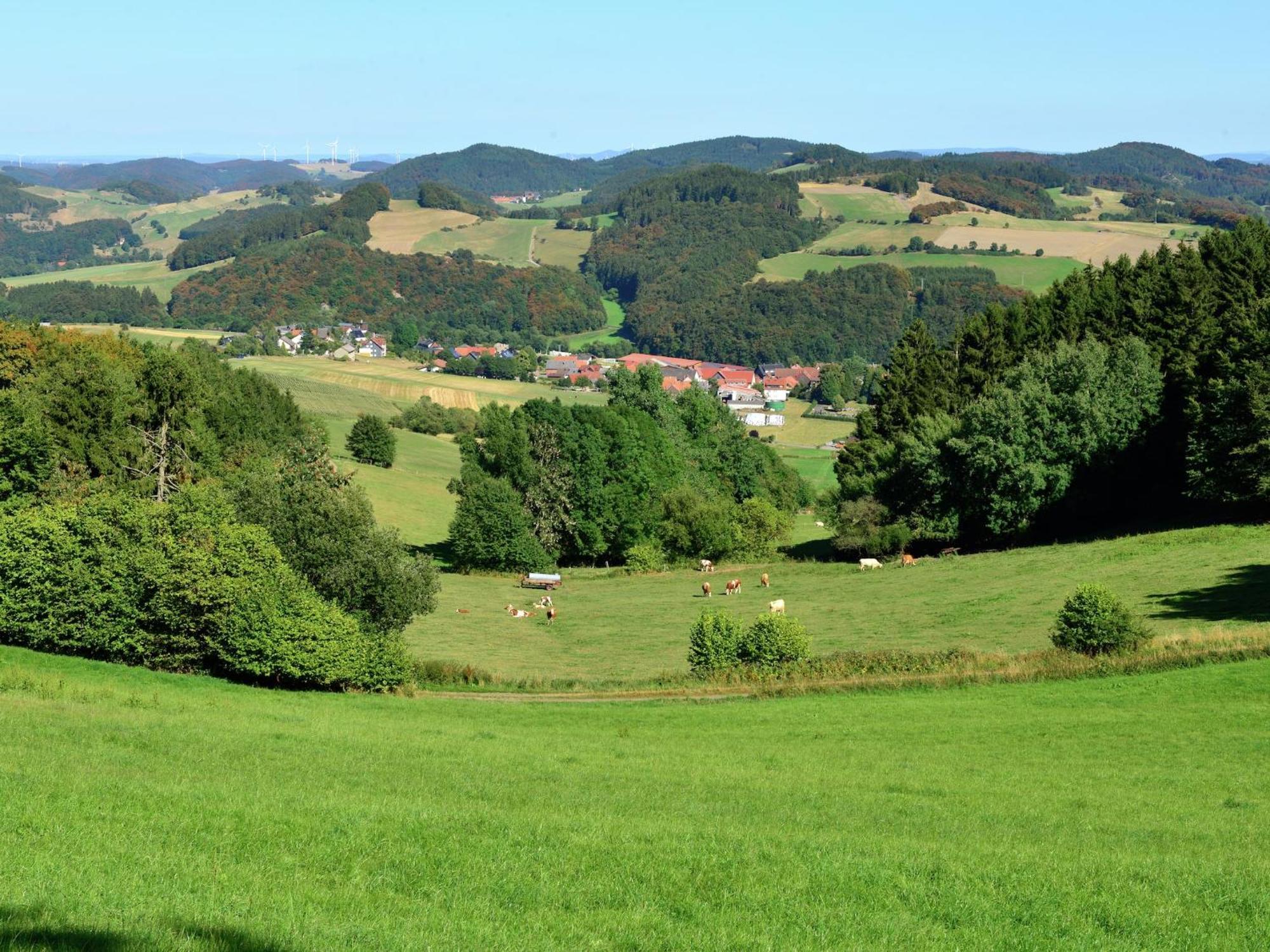 Quaint In Eimelrod Near And Water Sports * Willingen (Upland)