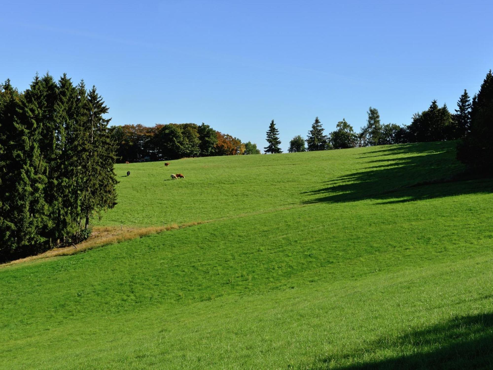 Quaint In Eimelrod Near And Water Sports * Willingen (Upland)